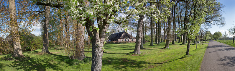 Ruinerwold Drente Netherlands. Panorama Village countrylife. Dr. Laryweg peartrees