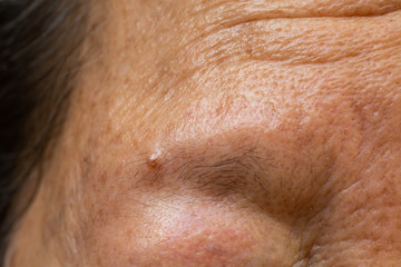 Fototapeta premium Senior woman's thin eyebrows, Wrinkled forehead, Brown mole, Close up & Macro shot, Selective focus, Body part, Healthcare concept