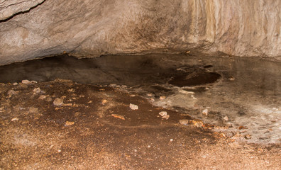 Bat Guano in a Pool of Water in a Cave