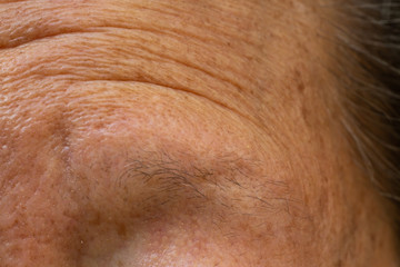 Fototapeta premium Senior woman's thin eyebrows, Wrinkled forehead, Close up & Macro shot, Selective focus, Body part, Healthcare concept