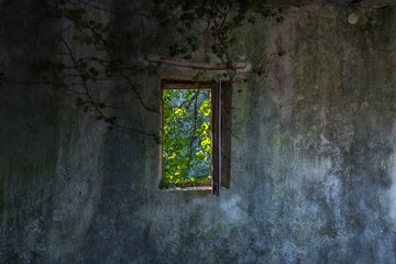 Looking out a Window in an Abandoned Medieval Village in Southern Italy