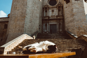 Collegiate Church of Sant Feliu in Girona, Catalonia, Spain