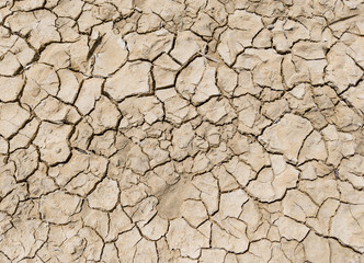 Dry Cracked Ground During Drought