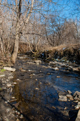 Obraz na płótnie Canvas small river with a rocky bottom