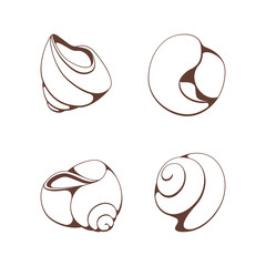 Set of outline monochrome seashells on an isolated white background.