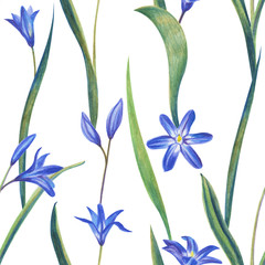Blue spring flowers. Hand drawing color pencil. Template for greeting card. Wedding card