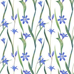 Fototapeta na wymiar Blue spring flowers. Hand drawing color pencil. Template for greeting card. Wedding card
