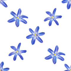 Blue spring flowers. Hand drawing color pencil. Template for greeting card. Wedding card