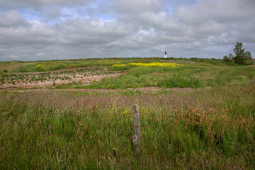 Texel wadden island Netherlands Den Hoorn