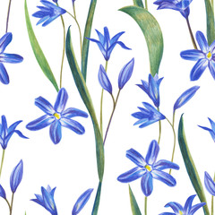 Blue spring flowers. Hand drawing color pencil. Template for greeting card. Wedding card