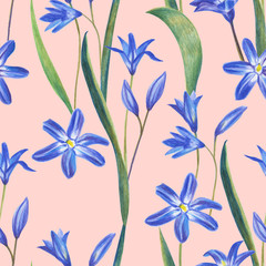 Blue spring flowers. Hand drawing color pencil. Template for greeting card. Wedding card