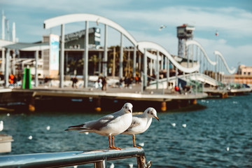 Port Vell and rambla del mar, Barcelona, Spaiin