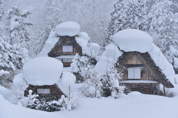 白川郷　shirakawago 　冬