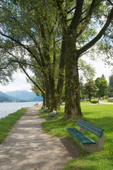 Benches at the Waterfront at Lake Tergensee in Germany on a Summer Afternoon