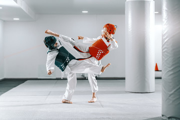 Sporty Caucasian boys having taekwondo training in white gym and kicking each other. - obrazy, fototapety, plakaty