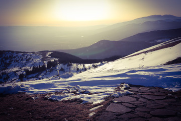 The Dream of the Sun