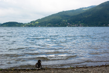 A View of Lake Tegernsee in Germany on a Cloudy Summer Day
