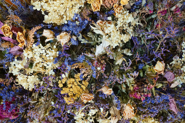 Fototapeta na wymiar dried color flower texture