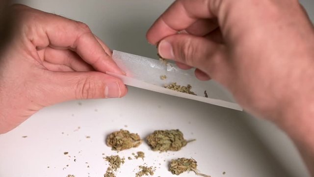 Hands and cannabis closeup. Man sprinkling weed on top of rolling paper.