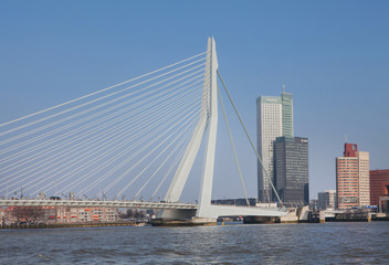 Rotterdam modern bridge Netherlands
