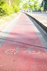 Obraz premium Red Bike lane asphalt texture with sunlight in background in the morning
