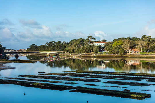 Parc &agrave; huitres &agrave; Hossegor