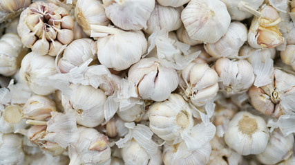 White garlic pile texture. Fresh garlic on market table closeup photo. Vitamin healthy food spice image. Spicy cooking ingredient picture.
