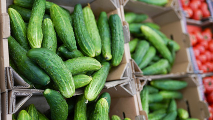Cucumbers and tomatoes on a farmers market. Fresh organic vegetables. Harvesting. Ingredients for the salad
