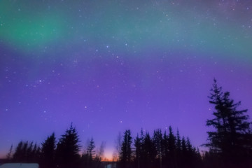 Naklejka premium オーロラ