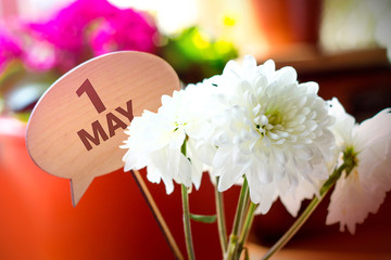 May 1st. Image of may 1 label with chrysanthemums. Spring day, empty space for text. International Workers' Day
