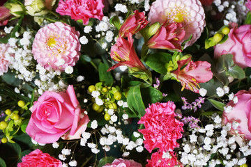 color roses background