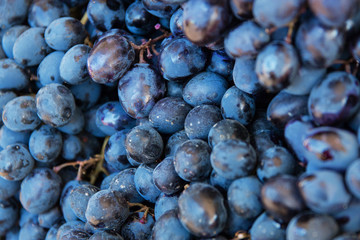 ripe juicy grapes close-up on the market showcase fresh harvest, selective focus