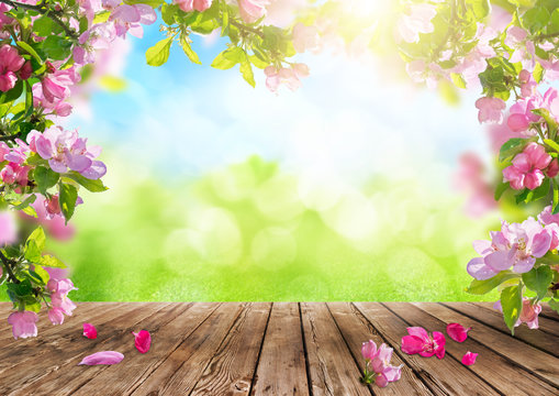 a spring flowers background, pink blossoms on wooden table