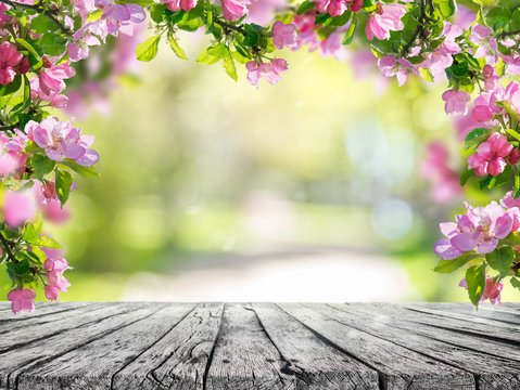 a spring flowers background, pink blossoms on wooden table