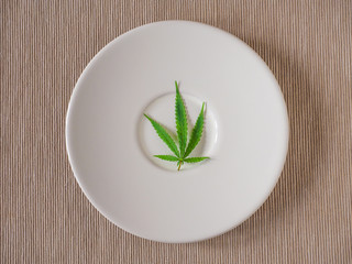 cannabis leaf on white plate. Top view. concept of marijuana use for medicinal purposes. to increase appetite and reduce pain.