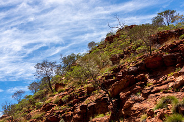 Desert landscape. Kings Canyon, Watarrka National Park, Northern Territory, Australia