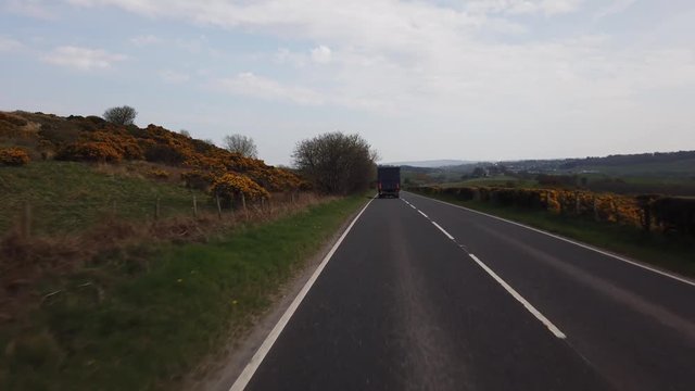 Driving along a rural road in Scotland with fields and patches of yellow gorse on each side.