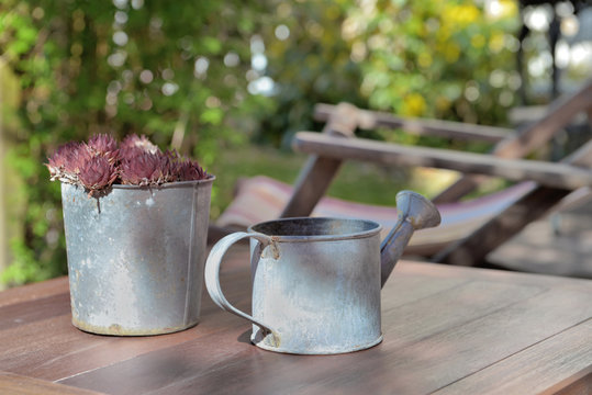 potted in metal can and watering on a tagle in home terrace
