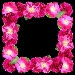 Beautiful floral background of peony and rose hip. Isolated