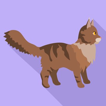 Maine coon icon. Flat illustration of maine coon vector icon for web design