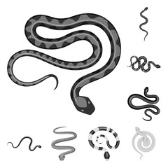 Obraz premium Vector design of harm and bite sign. Collection of harm and reptile stock symbol for web.