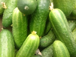 fresh cucumbers on the counter of a grocery store