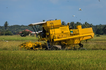 Mähdrescher bei der Reisernte in Asien © Frozen Action
