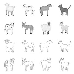 Vector design of breeding and kitchen  sign. Set of breeding and organic  vector icon for stock.