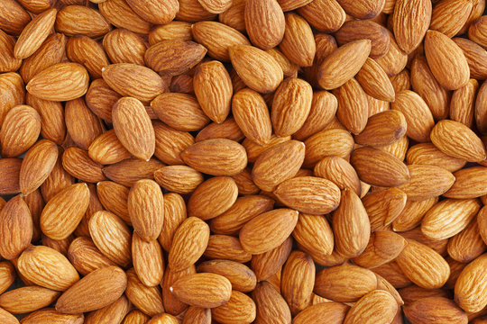 Almonds. Almond Kernels for Background or Texture    