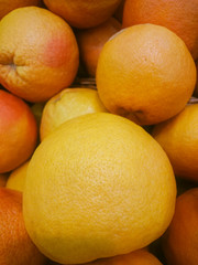 background of juicy ripe oranges freshly picked from the orchard tree