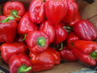 Background cut red sweet pepper in basket bulgarian pepper fresh, assorted colorful capsicum paprika on a counter in the supermarket.