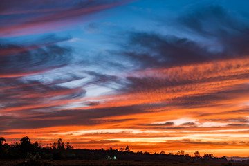 Fototapeta na wymiar Beautiful twilight sky above the paddy field