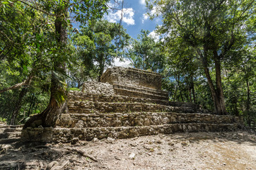Fototapeta na wymiar Muyil archaeological site in Quintana Roo, Mexico