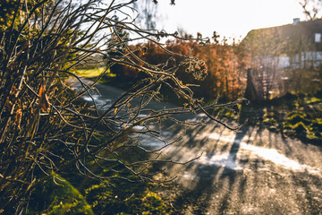 Old country road in autumn